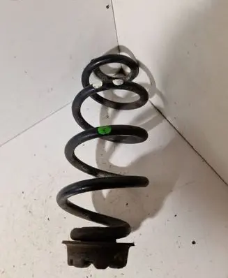 Rear coil spring