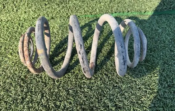 Rear coil spring