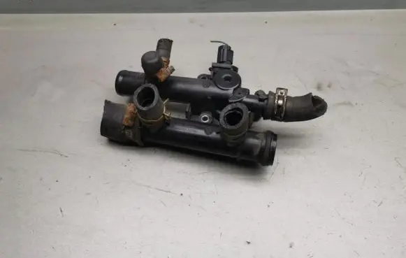 Thermostat/thermostat housing