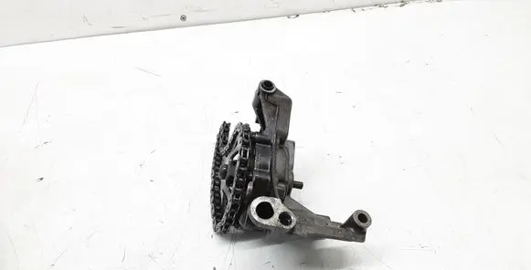 Volkswagen PASSAT B5.5 Oil pump 1335A01 038115121