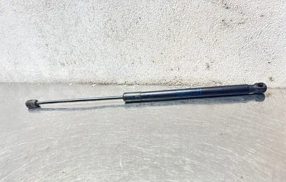 Opel Insignia A Tailgate/trunk strut/damper 13332570 315005777 031786660N