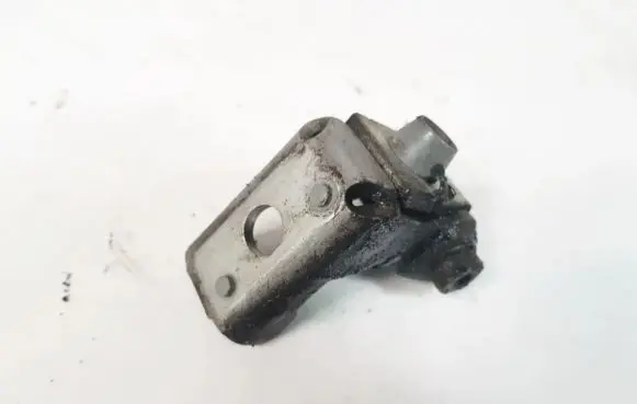 Peugeot 206 Rear door lower hinge