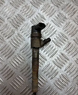 Opel Insignia A Fuel injector 0445110423 55577668