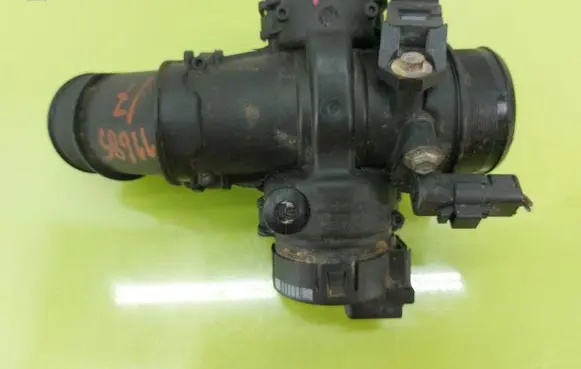 Peugeot Partner Throttle body valve 25365222
