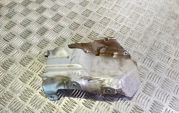 Exhaust heat shield