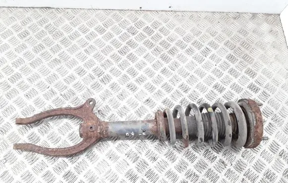 Hyundai Grandeur Front shock absorber with coil spring