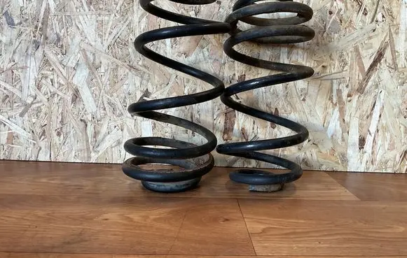 Rear coil spring