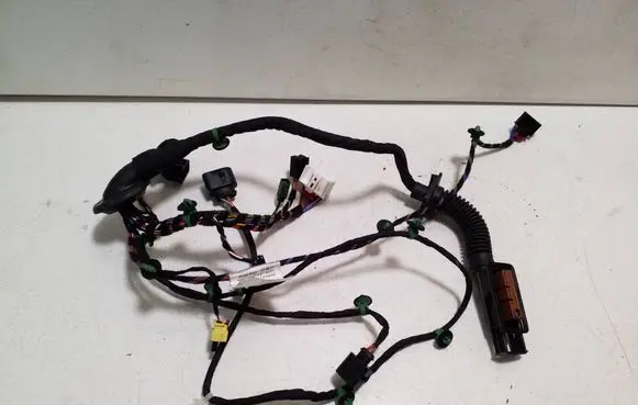 Porsche Taycan 9J1 Front door wiring loom 9JA971035AE