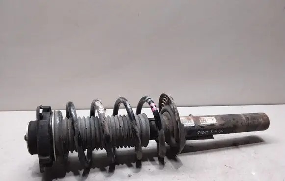 Skoda Yeti (5L) Front shock absorber with coil spring 1K0413031BK