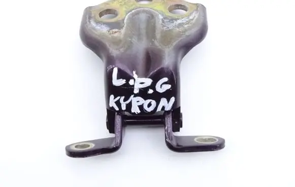 SsangYong Kyron Front door hinge set 