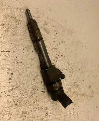 Renault Megane II Fuel injector 0445110021 7700111014