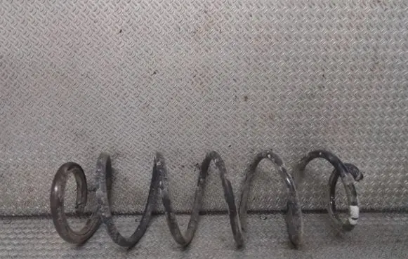 Renault Laguna III Rear coil spring