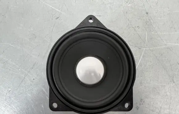 Panel speaker