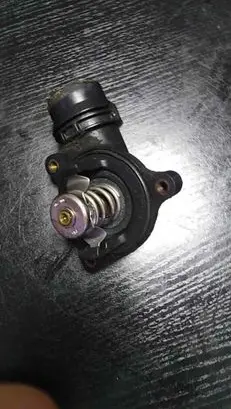 Thermostat/thermostat housing