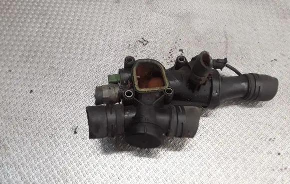 Thermostat/thermostat housing