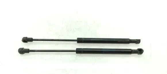 Tailgate strut