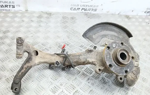 Volkswagen PASSAT B5.5 Front wheel hub spindle knuckle 
