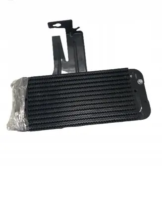 Renault Master III Fuel cooler (radiator) 243561500R