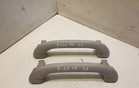 Front interior roof grab handle