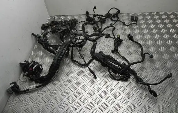 Engine installation wiring loom