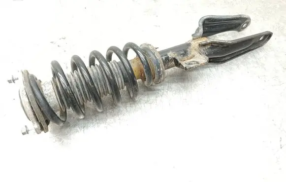 Tesla Model 3 Front shock absorber with coil spring 104436800F
