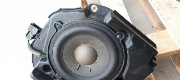 Rear door speaker