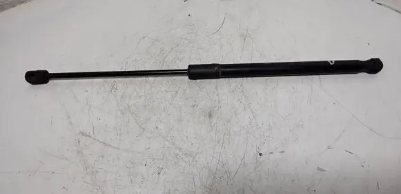 Renault Megane III Tailgate/trunk strut/damper 844300009R