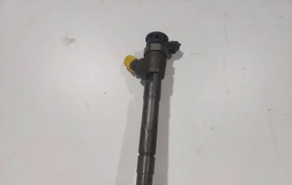 Renault Trafic III (X82) Fuel injector 0445110546