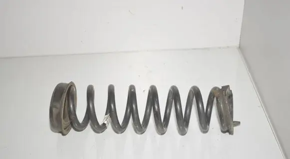 Rear coil spring