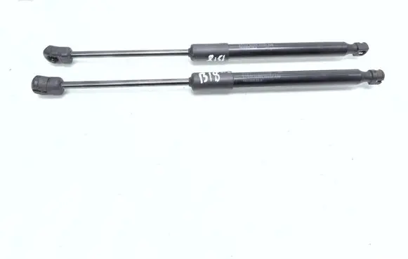 Tesla Model 3 Front bonnet/hood damper/strut 164598900A