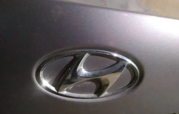Manufacturer badge logo/emblem