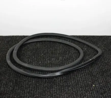 Volkswagen Phaeton Rubber seal front coupe door 3D4867365G
