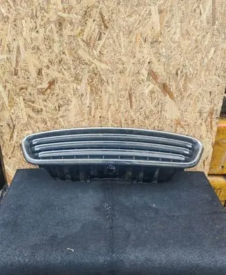 Mini Cooper Countryman R60 Front bumper upper radiator grill 224059