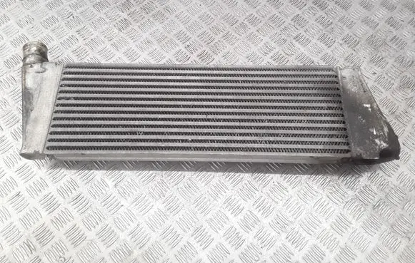 Renault Megane II Intercooler radiator 8200700172 R4851001 4851001