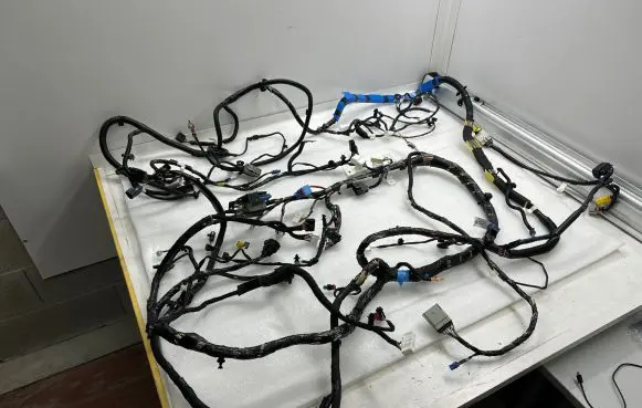 Tesla Model X Other wiring loom 255256695B 3L123213