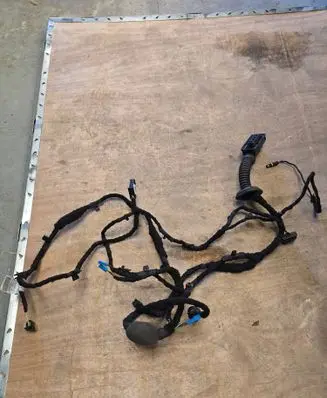 BMW 3 G20 G21 Front door wiring loom 111078 622023 4363630