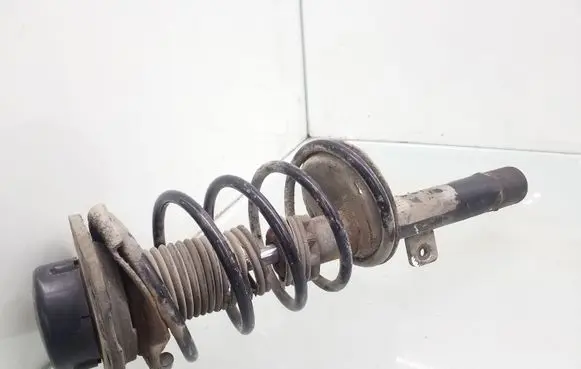 Peugeot 206 Front shock absorber with coil spring