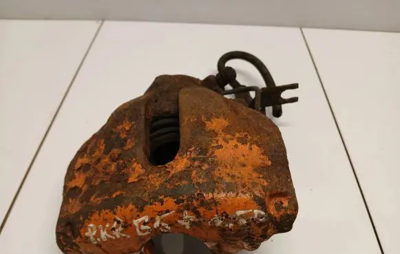 Volkswagen PASSAT B5.5 Front brake caliper