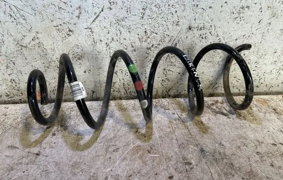 Rear coil spring