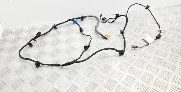 Rear door wiring loom