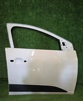 Dacia Sandero III Front door 801123179R