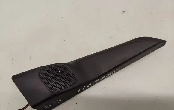 Front door high frequency speaker
