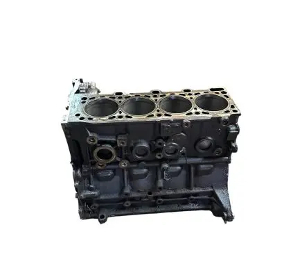 Mazda 3 II Engine block R2AA R2AA10681