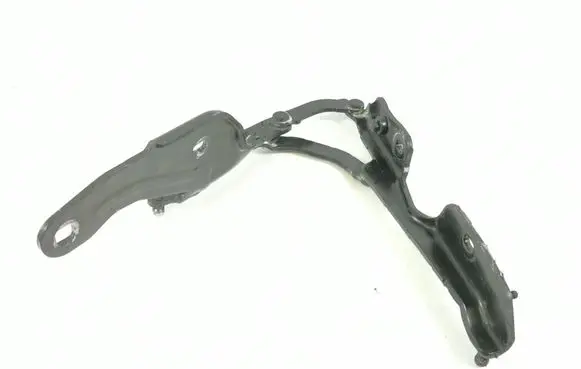 BMW Z4 E89 Tailgate/trunk/boot hinge 41007191275