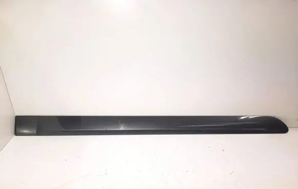 Rear door trim (molding)