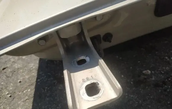 Rear door lower hinge