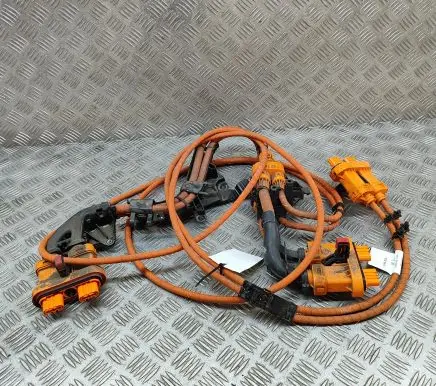 Volkswagen ID.4 Other wiring loom 1EA971013M