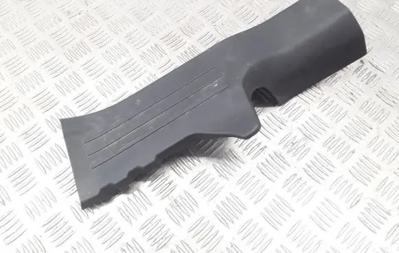 Renault Koleos II Rear sill trim cover B21601ZG000