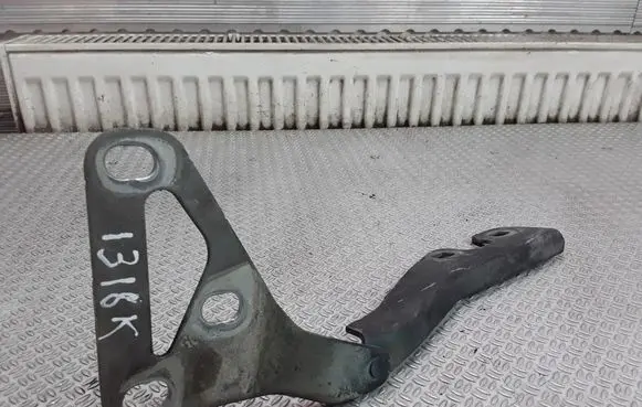 Opel Signum Engine bonnet/hood hinges