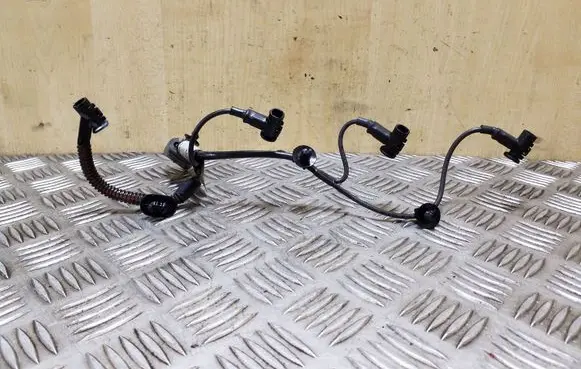 Citroen C4 I Picasso Glow plug wires 9688409680